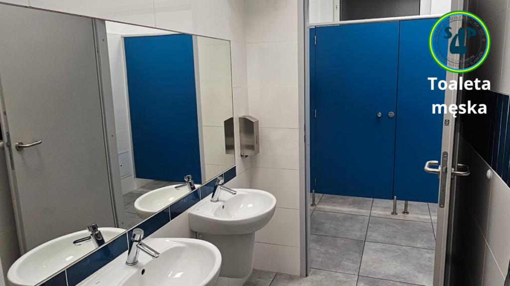 Toaleta meska