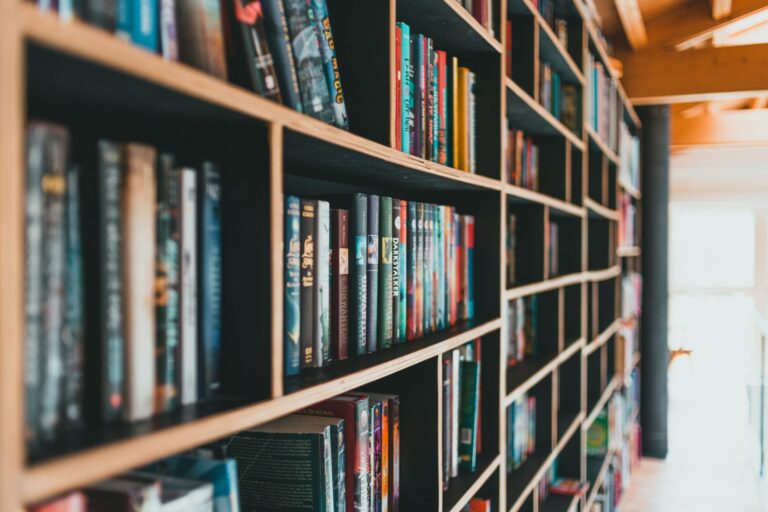 Drewniane regały wypełnione książkami w przytulnej bibliotece