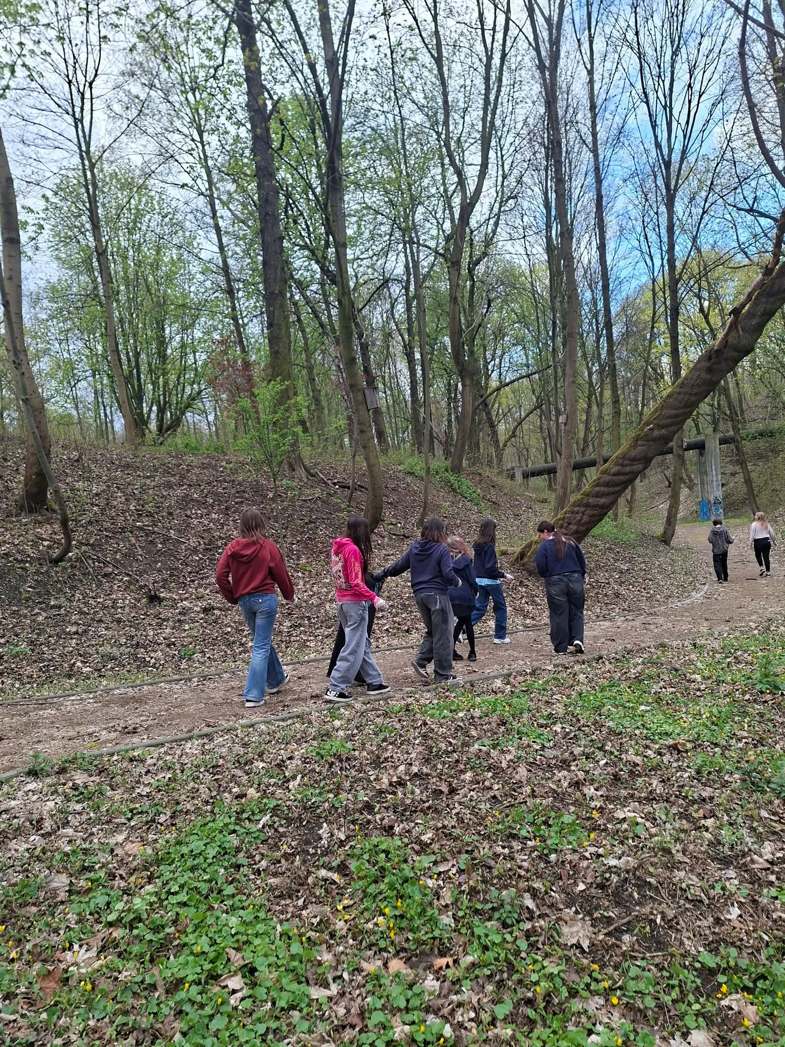 Grupa dzieci idzie ścieżką w lesie, obok liny i nachylonego drzewa.